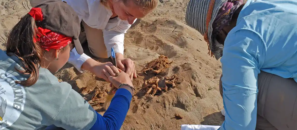 Tulane School of Liberal Arts Students take part in an archaeological excavation