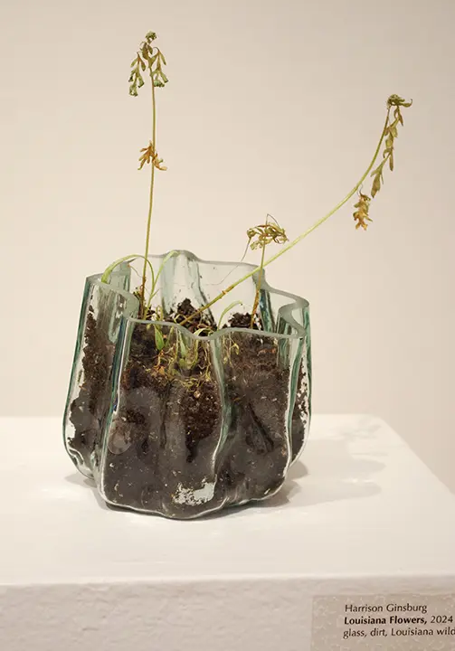 Harrison Ginsburg, Tulane University Undergraduate Juried Exhibition 2024