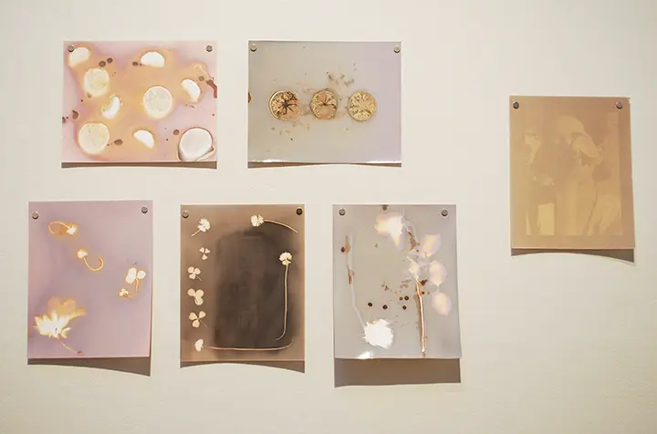 Sarah Silbert, Tulane University Undergraduate Juried Exhibition 2024