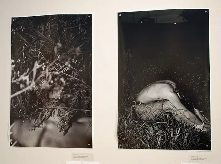 Taylor Sacco, Tulane University Undergraduate Juried Exhibition 2024
