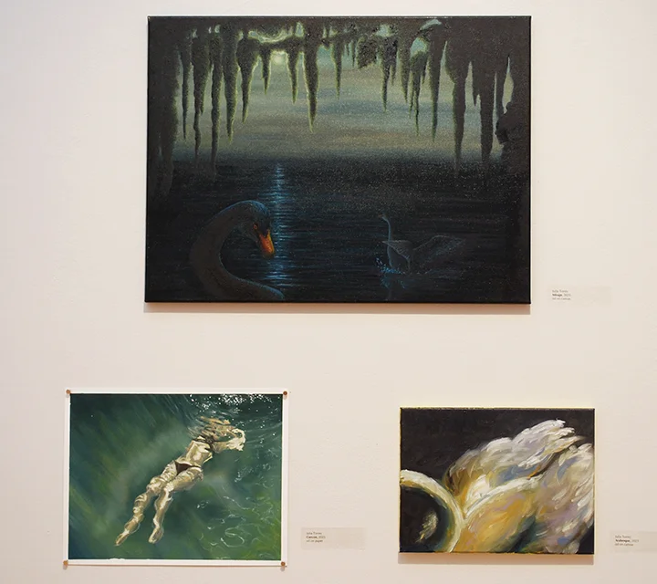 Julia Torrey, image 3, Tulane University 2025 BFA Exhibition