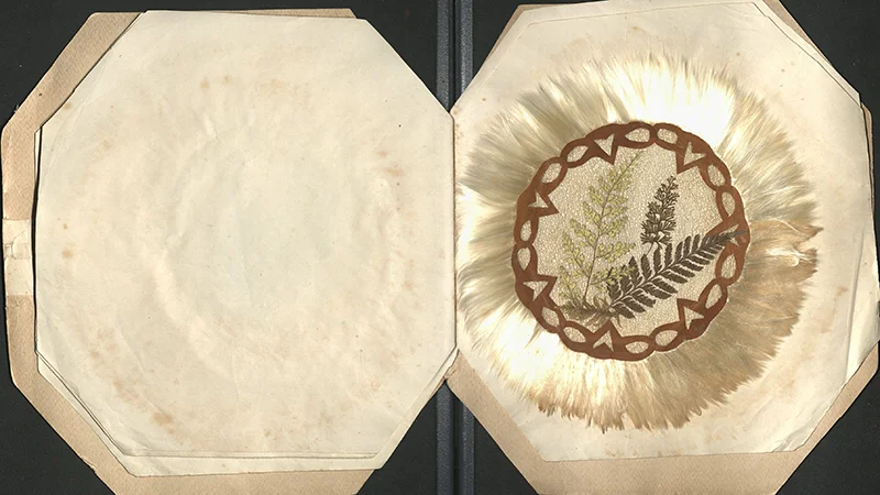 Album of Jamaican Lace Bark Doyleys, c. 1890, Private Collection (No Copyright).