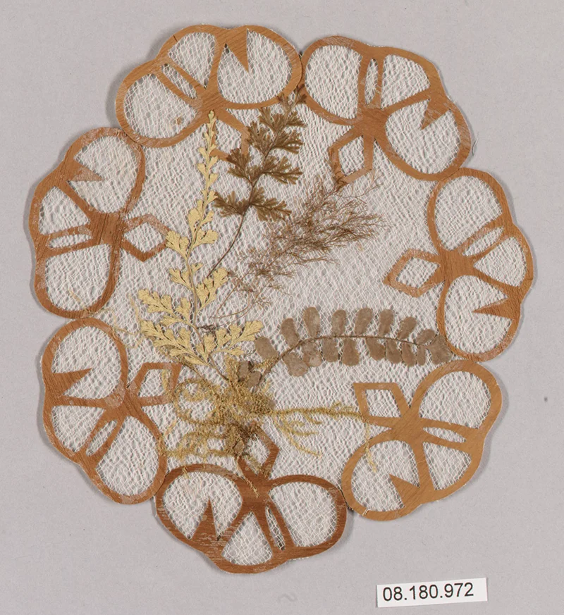 Doily, 19th Century, Jamaican Lace bark, The Metropolitan Museum of Art, Object Number: 08.180.972 (