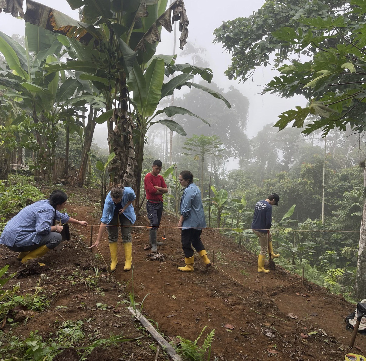 students participating in surveys and excavations in cuador’s Chocó region.