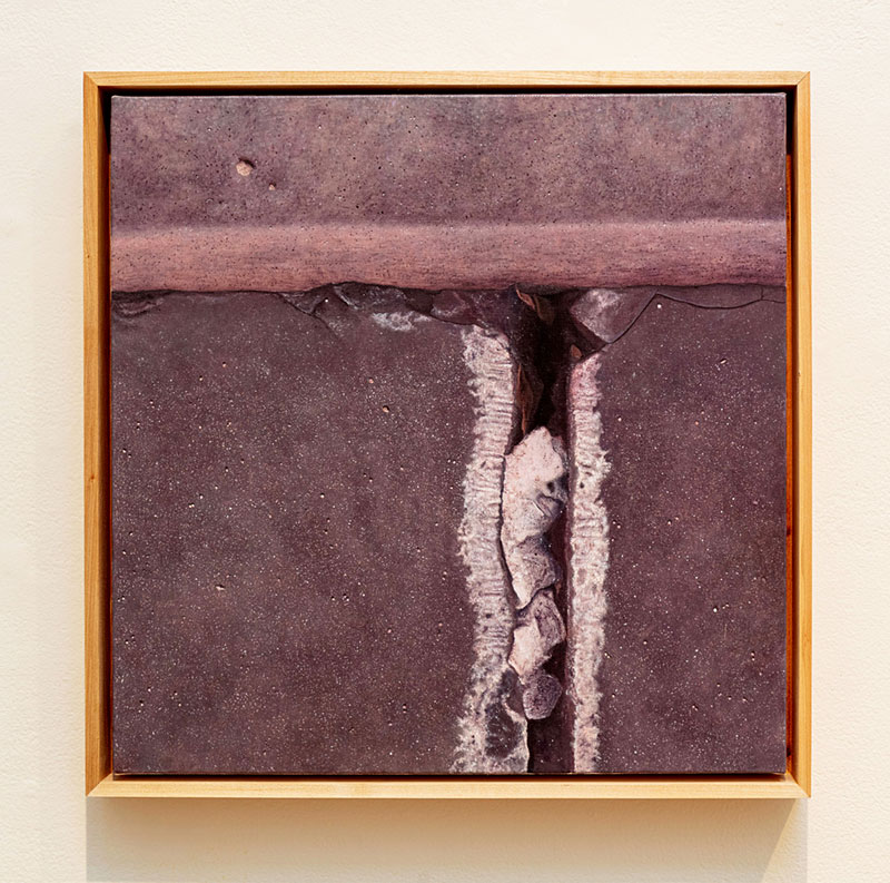 Empurpled, Sara Abbas