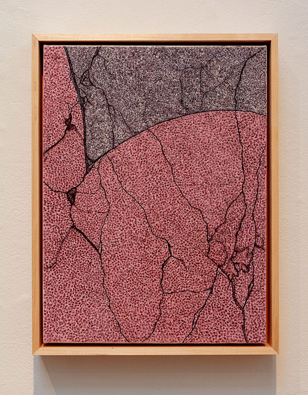 Bifurcations, Sara Abbas
