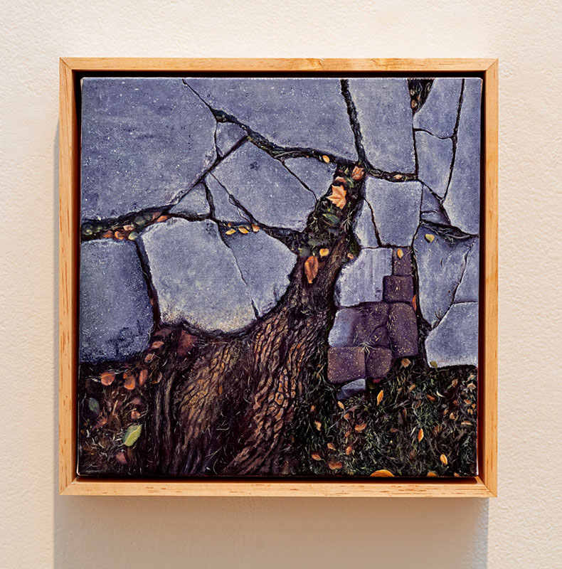 Fractures and Faults, Sara Abbas
