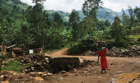 Photo provided by Laura McKinney, taken at one of her study sites in Uganda