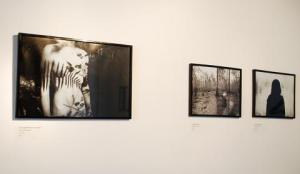 Kaitlyn Morales Gallery View 6