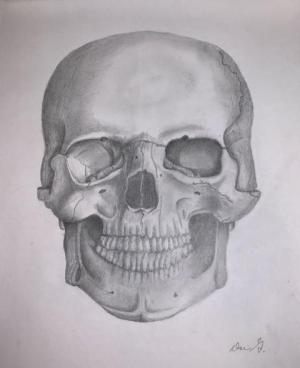 Mortality