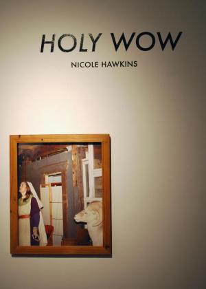 Nicole Hawkins Gallery View 4