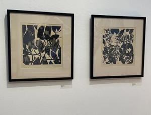 Magnolias, Honeysuckle Robyn Denny