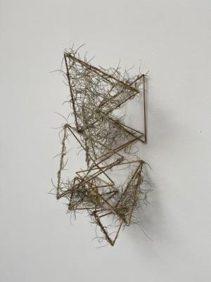 Roots Emma Fein