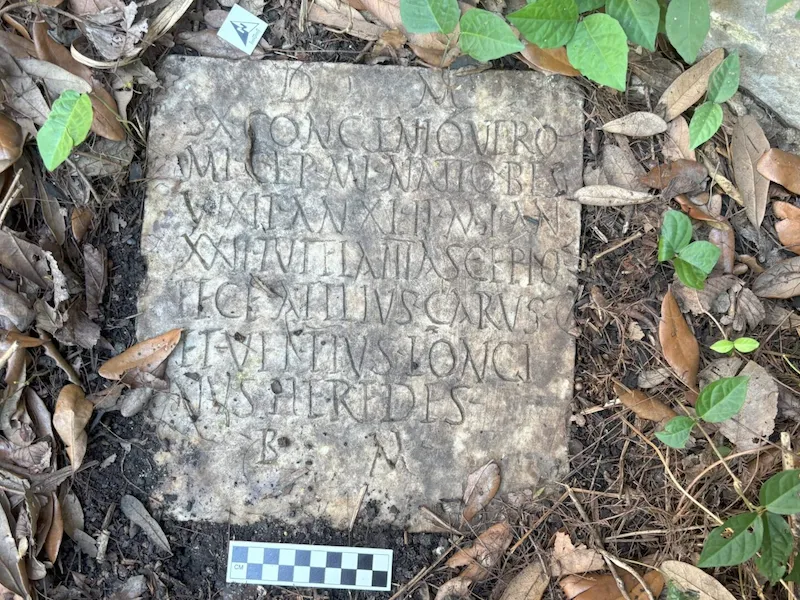 Ancient stone tablet with carved Latin text, surrounded by leaves and a scale bar.